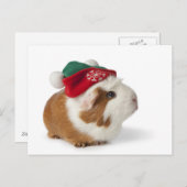 Leuk Proefkonijn met het Pet van Kerstmis op Wit Feestdagenkaart (Voorkant / Achterkant)