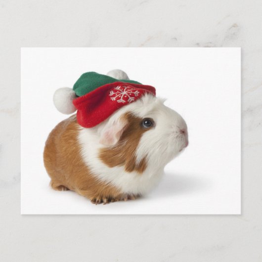 Leuk Proefkonijn met het Pet van Kerstmis op Wit Feestdagenkaart (Voorkant)
