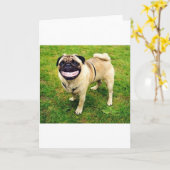 leuk pug van de hondglimlach kaart (Gele Bloem)