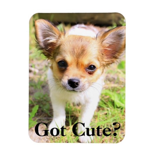 Leuk? puppy magneet (Verticaal)