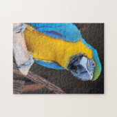 Leuk! Puzzel - Blauw-en-gele ara Legpuzzel (Horizontaal)