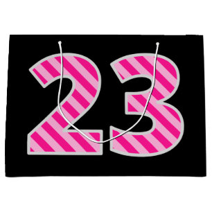 Leuk roze gestreept "23"; Gelukkige 23e verjaardag Groot Cadeauzakje