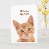 Leuk Sinaasappel Kitten Hi Hoe ben je Grappig Dier Kaart (Gele Bloem)