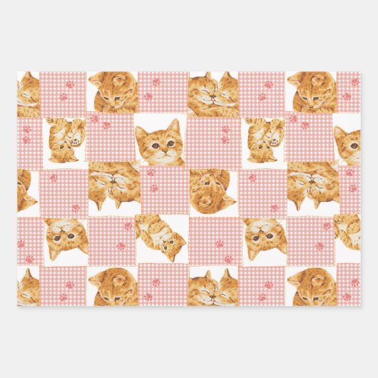 Leuk sinaasappel Tabby Cat Plaid Patchwork Roze Pa Inpakpapier Vel (Voorkant)