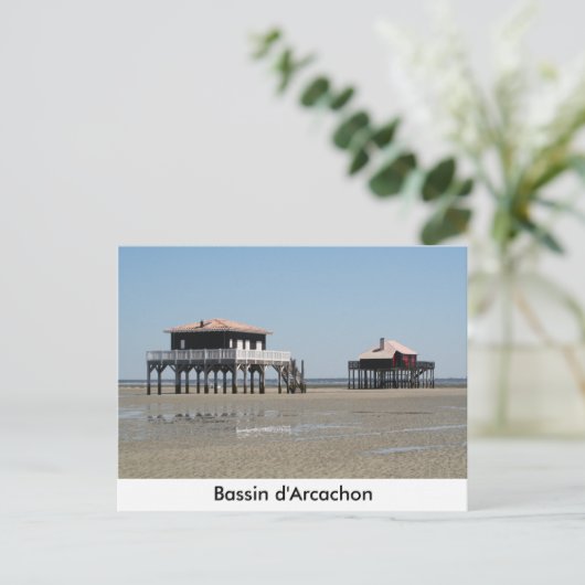 leuk souvenir briefkaart (Staand voorkant)