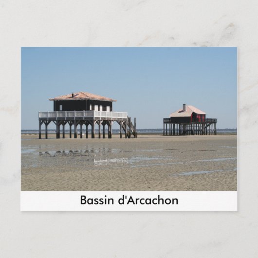 leuk souvenir briefkaart (Voorkant)