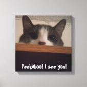 Leuk speels kitty kat Afbeelding verpakt canvas (Voorkant)