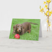 Leuk tekkel leeg wenskaart kaart (Gele Bloem)