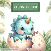 Leuk Uitkomen Binnenkort Baby Dinosaurus Baby Kuss Kussen