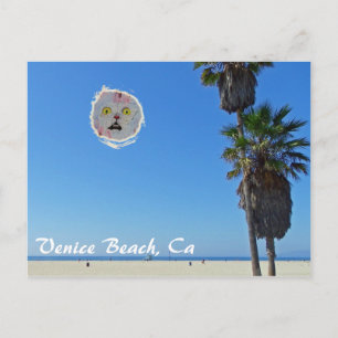 Leuk Venice Beach Briefkaart! Briefkaart