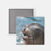 Leuk Zee Leeuwenmagneet Magneet (Voorkant / Achterkant)