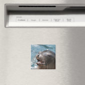Leuk Zee Leeuwenmagneet Magneet (Insitu (Vaatwasser))