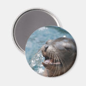 Leuk Zee Leeuwenmagneet Magneet (Voorkant / Achterkant)