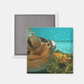 Leuk Zee Turtle Selfie Magneet (Voorkant / Achterkant)