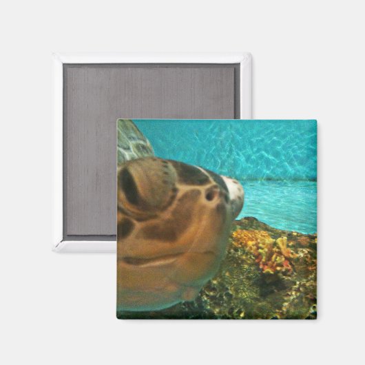 Leuk Zee Turtle Selfie Magneet (Voorkant / Achterkant)