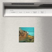 Leuk Zee Turtle Selfie Magneet (Insitu (Vaatwasser))