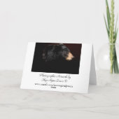 Leuk zwart Beer "Beer knuffel" Vaderdag Kaart (Achterkant)