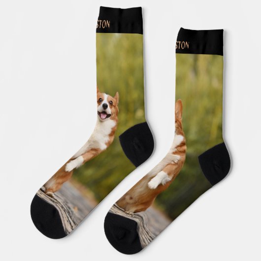 Leuke aangepaste naam en huisdier foto sokken (Links)