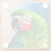 Leuke AI Gegenereerde Amazon Parrot Glazen Onderzetter (Achterkant)