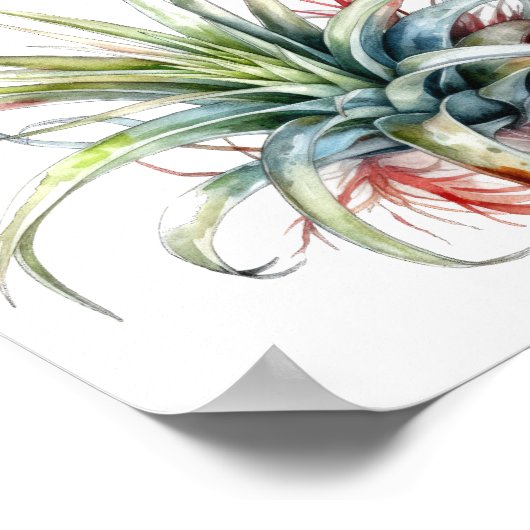 Leuke Air Plant Quote Wall Art Poster (Hoek)