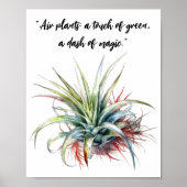 Leuke Air Plant Quote Wall Art Poster (Voorkant)