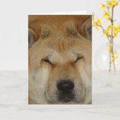 Leuke Akita Grappig Grote Liefdevolle Gezicht Foto Kaart (Gele Bloem)