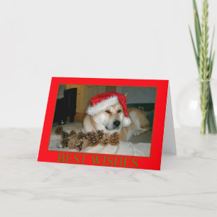 Leuke akita in rood santapet met Kerstmiskegels Feestdagen Kaart
