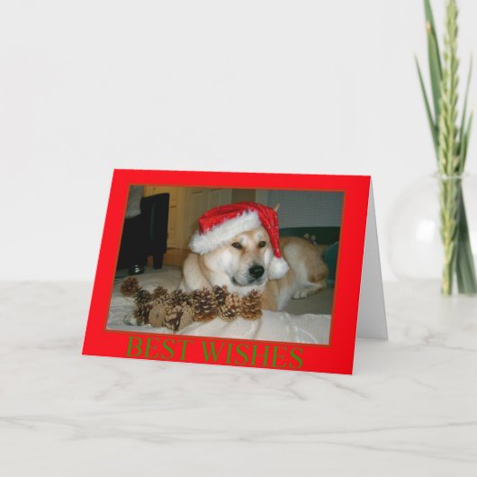 Leuke akita in rood santapet met Kerstmiskegels Feestdagen Kaart (Voorkant)