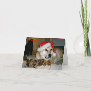 Leuke akita in rood santapet met Kerstmiskegels Feestdagen Kaart