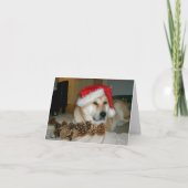 Leuke akita in rood santapet met Kerstmiskegels Feestdagen Kaart (Voorkant)