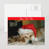 Leuke akita in rood santapet met Kerstmiskegels Feestdagenkaart (Voorkant / Achterkant)
