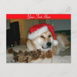 Leuke akita in rood santapet met Kerstmiskegels Feestdagenkaart