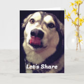 Leuke Alaskan Malamute Omslag Foto Sjabloon (Gele Bloem)