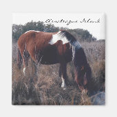 Leuke Assateague merrie - magneet (Voorkant)