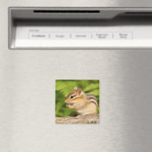 Leuke baby chipmunk magneet (Insitu (Vaatwasser))