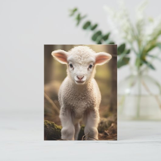 Leuke Baby Lamp Ewe - Grappige Boerderijdieren Briefkaart (Staand voorkant)