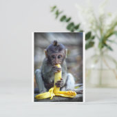 Leuke baby macaque aap die banaan eten briefkaart (Staand voorkant)