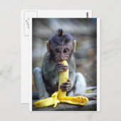 Leuke baby macaque aap die banaan eten briefkaart (Voorkant / Achterkant)