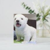 Leuke baby polarbear briefkaart (Staand voorkant)