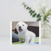 Leuke baby polarbear briefkaart (Staand voorkant)