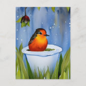 Leuke baby robin, postcrossing briefkaart (Voorkant)