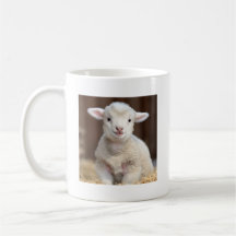 Leuke Baby Sheep Mok - Leuke dierlijke Mokken