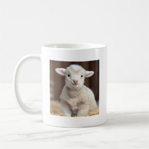 Leuke Baby Sheep Mok - Leuke dierlijke Mokken