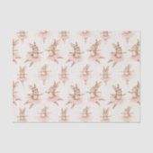 Leuke ballerina konijnen in roze tutu's tissuepapier (Voorkant)