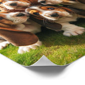 Leuke Basset Hound puppies Poster (Hoek)