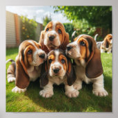 Leuke Basset Hound puppies Poster (Voorkant)