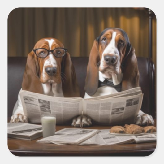 Leuke basset hounds lezen krant vierkante sticker (Voorkant)