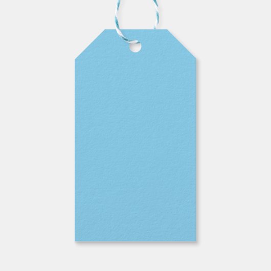 Leuke  Beach Waves Sunshine Blue Surf Party Cadeaulabel (Achterkant)