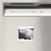 Leuke Beluga walvis magneet (Insitu (Vaatwasser))