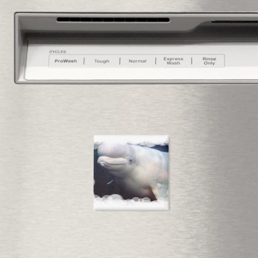 Leuke Beluga walvis magneet (Insitu (Vaatwasser))